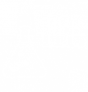 Icon Chemie Industrie