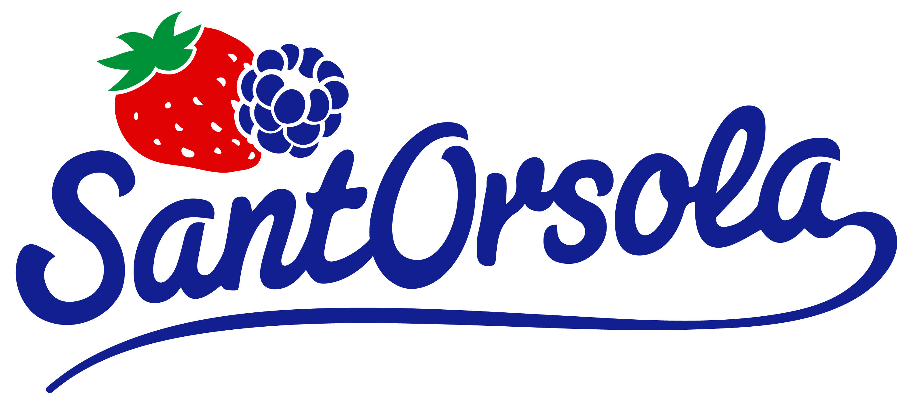 Logo Sant'Orsola