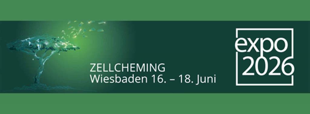 Header format news website zellcheming